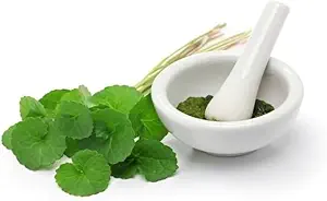 (verpakking 2) Organisch Centella Asiatica Poeder (50g)