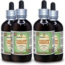 Carline distel (Carlina acaulis) Glyceriet, gedroogde wortels Alcoholvrije vloeibare extract (Grote naam: HerbalTerra, Trots Made in USA) 4x4 fl.oz (4x120 ml)