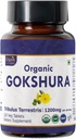 Gokshura 120 tabletten 