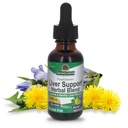 Nature's Answer Alcohol-Free Liver Support, 1-Fluid Ounce , favorise la santé du foie Fonction , Nettoyeur naturel et désintoxication , Soutien Santé globale