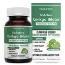 SoActive Ginkgo Biloba met GinkgoSelect® Phytosome 