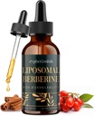 Liposomal Berberine Drops Supplement 3000mg - Hoge Absorptie AMPK Activator, Biologische Berberine HCl Complex met Ceylon Cinnamon & Gember voor Immune & Digestie (2 fl oz)