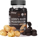 Leeuwen Mane Mushroom Gummies voor Nootropic Brain Supplement, Immune Support, Stress Relief Mushroom Supplement Berry Flavor 60 Tellen