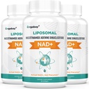 Orgabay NAD liposomique + Supplément 500 mg, Absorption élevée, Boost NAD+ avec TMG 250 mg, Réel NAD Plus plus plus efficace que le riboside de Nicotinamide, Soutien énergie cellulaire, Vieillissement en santé