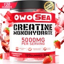 Creatine Monohydraat Gummies for Men & Women 5000mg Creatine Monohydraat per Serving for Muscle Support Energy Boost 120 Count Chewable 5g Creatine Supplement Sugar Free Vegan (1 Pack, Aardbei)