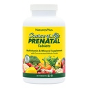 Natures Plus Levensbron Prenatale - 800 mcg Folaat, 90 Vegetarische tabletten - Alle natuurlijke prenatale vitamine en mineralen met ijzer en calcium - Optimale gezondheid en energie - Glutenvrije - 45 porties