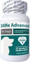 Project Paws Zelfde voor Honden - Lever Ondersteuning voor Honden met Vitamine B - Cognitive Dog Supplement - S Adenosyl Methionine voor Honden - 60 ct.
