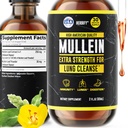 HERBIFY Mullein Extract 2 oz Tinctuur voor de ademhaling gezondheid, Mullein blad en bloemen Blend (Verbascum Densiflorum)