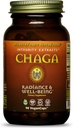 HealthForce SuperFoods Integriteit Extracten van Chaga capsules - 90 Vegan Capsules