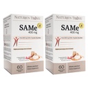 Nature's Trove SAM-e 400mg 120 Enteric Coated Caplets (2 Dozen van 60) - Vegan, Kosher, Niet-GMO, Sojavrij, Glutenvrij - Goed en Joint Comfort - Koude vorm Blister verpakt