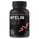 Myelin Caps, Brain Health Supplement, Focus Supplement & Brain Health met AlphaSize, Memory and Cognitive Function Support, Gluten-Free, Non-GMO (90 capsules)