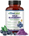 FineLand Wild Blueberry 10:1 Extract, 6.000 mg sterkte, 120 Vegan Capsules, rijk aan flavonoïden en anthocyanen, antioxidant ondersteuning voor hersenen en gezondheid van het hart, 4-maand levering, niet-GMO Made in USA