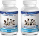 Suppléments Bladder pour chiens - Soutien de tract urinaire - pour chiens - Complexe avancé - CRÉABLE - Soie de maïs pour chiens - 2 bouteilles (180 Chews)