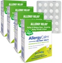 Boiron AllergieCalm Tablets 240 Tellen, Verlossing van Allergieën en Hay Koorts Symptomen van niezen, Runny Neus, Itchy Eyes, Keel, Allergie Kalm Tabs (Voorheen RhinAllergie) (Pack van 4 60ct dozen)