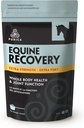 PURICA Equine Hyaluronzuur - Horse Joint Support Supplement met Glucosamine, MSM Powder, Betaine, Magnesium, Vitamine C en E - Groene thee en druivenzaadextract - Horse Supplies and Treats