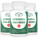 NAD+ supplement Liposomal NAD+ Plus 800MG Nicotinamide Riboside alternatief voor celenergie, gezonde veroudering en spierreparatie 180 capsules (verpakking van 3)