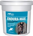 Kentucky Performance Endura-Max Electrolyte Supplement voor paarden, 5 Pond