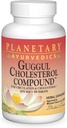Planetaire kruiden Guggul Cholesterol Compound Ayurvedic 90 Tablet
