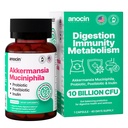 Akkermansia Muciniphila + Probiotic, Postbiotic & Inulin - Gut Health Supplement for Digestie, Immune Support - 10 Miljard CFU, Vegan & Glutenvrije