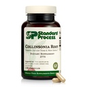 Processus standard Collinsonia Root - Supplément de soutien des tissus vasculaires sains - Supplément de santé de Bladder & Rein avec Collinsonia Root - Supplément à Aide Digestive Health - 150 Capsules
