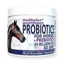 GezondeGutTM Probiotica voor paarden Dieetsupplement, All-Natural Digestief Systeem Onderhoudsformule (30 dagen)