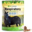 Silver Lining Herbs Respiratory Support Supplement for Horses - Horse Supplements for Long Cleanse & Respiratory Health - Great for Long function, ademen & Clear Airways - 1 lb 60-Day Supply
