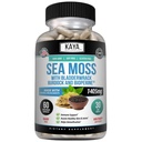 Kaya Naturals Sea Moss - Supplément mobilité pour les hommes et les femmes - avec Burdock Root, Irish Moss, Bladderwrack et BioPerine - pour la santé de la mobilité et l'Immune Boost, 60 Comte