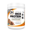 Protéines de riz de qualité supérieure biologique, pouvoir chocolat, non OGM, végétalien, 16,8 once