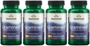 Swanson Maximale sterkte Graminex Flower Pollen Extract - Ondersteunt Prostaat Gezondheid, urinetrekfunctie, en Niergezondheid - Heren Gezondheid Supplement - (60 Capsules, 500mg Elke) (4 Pack)