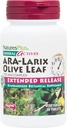 NaturesPlus Herbal Actives ARA Larix Olive Leaf - 30 tabletten - Immune Support Supplement, Uitgebreide Release Botanical Complex - Vegetarisch, Glutenvrij - 30 porties