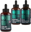 WILD BRANDSTOF Liquid Collageen, Marine Collageen en Liquid Chlorofyl Beauty and Wellness Bundle