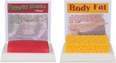 SimCoach menselijk lichaam vet & spier replica 1 Lb, Houd Fit & Fitness Motivatie & Herinnering, menselijke spier vet model voor voedingsdeskundige, atleet