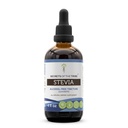 Geheimen van de Stam Stevia Alcoholvrije Tinctuur (Glyceriet) 653 mg Gemaakt met Stevia (Stevia Rebaudiana) Gedroogd Blad (4 Fl Oz) Bloedsuiker Supplement