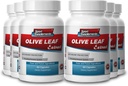 Sport Supplementen Olive Leaf Extract Krachtige Antioxidant, Immune System Health 500mg (6 flessen, 360 capsules)