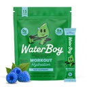 Waterboy workout hydratatie 2,960mg suikervrije elektrolyte poeder pakketten 