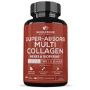 Geheel Wellness Super-Absorb Multi Collageen Pillen (Type I II III V X) Biologische Kruiden & Bioperine - Haar, Huid, Nagels - Gehydrolyseerde Peptiden Proteïne Supplement voor Vrouwen & Mannen (90 Capsules)