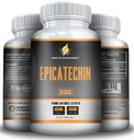 EPICATECHIN - 500MGs per portie - 60 porties en 1000MGS per portie - 30 porties - maximale sterkte - kan Myostatine verminderen - kan spiermassa en sterkte verhogen - helpt bij eiwitsynthese