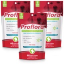 Proflora Probiotic Zachte Kauwen voor honden - Veterinary-Strength Daily Probiotic - Digestie Gezondheid - Boost Immune System - Huid en jas Gezondheid - 180 Zachte Kauwen