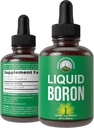 Liquid Boron Supplement voor mannen en vrouwen. Mined in The USA. Vegan + Ionische sporen minerale druppels met hoge biologische beschikbaarheid voor bot, Joint Health. Zero Sugar, No Bitter Taste. Boron Complex Supplementen