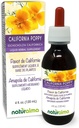 Naturalma Eschscholzia (Eschscholzia californica) kruid Alcoholvrije tinctuur - 4 fl oz Liquid Extract in druppels - Kruidensupplement - Veganistisch