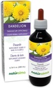 Naturalma Paardenbloem (Taraxacum officinale) Wortel- en kruid Alcoholvrije Tinctuur - 6,76 fl oz Liquid Extract in druppels - Kruidensupplement - Veganistisch