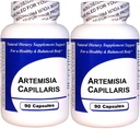 Artemisia Capillaris (90 capsules) Geconcentreerd Kruidenextract - Dieetsupplement - 2 verpakkingen