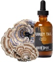 North Spore Organic Turkey Tail Tinctuur 