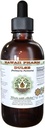 Dulse alcoholvrije vloeibare extract, Dulse (Palmaria Palmata) gedroogd blad Glycerite Hawaii Pharm Natural Herbal Supplement 2 oz