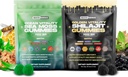 Holistische Hercules Sea Moss & Pure Himalaya Shilajit Gummies Gold 