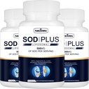 Superoxide Dismutase Supplement 500mg - SOD Plus met liposomale glutathion, AKG, Green Tea Extract, L-Arginine, Lysine, Resveratrol en Vitamine E voor Immune Support, Antioxidant 180 Capsules