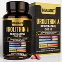 9-in-1 Urolithin A Supplement voor Vrouwen Anti-Aging 1000mg: Antioxidant Capsules met Trans-Resveratrol en CoQ10 - USA Lab Geverifieerde Ondersteuning Gezond Verouderen en Cellulair Hernieuwen