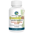 Herbes étonnantes GraviolaEX Anona Muricata - 100% Graviola pure (Soursop) Extrait, santé naturelle de la forêt de pluie, supplément alimentaire à base de plantes - 60 comtes (paquet de 1)