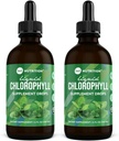 360 Nutrition Chlorofyl Liquid Drops with Peppermint Oil, GF & Vegan Body Internal Deodorant Supplement, ondersteunt Gut Health, Digestie, Energie, Radiante huid, snelle Absorptie (4 Fl Oz (2 telling))