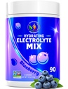 Blueberry Hydration Powder 